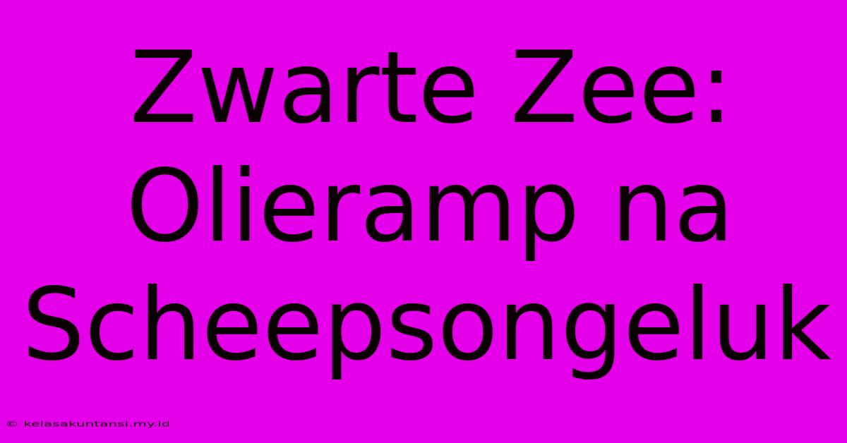 Zwarte Zee: Olieramp Na Scheepsongeluk